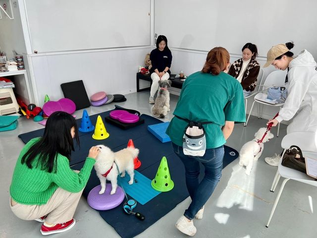 서초동물사랑센터 '독 피트니스' 프로그램