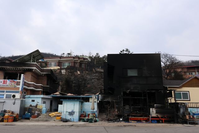 산불에 탄 영덕군 축산면 경정3리 식당