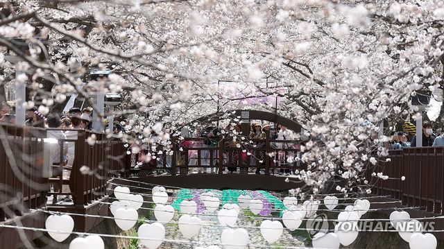 꽃샘추위 속 봄은 오고