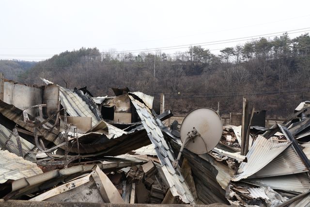 폭격 맞은 듯한 영양군 석보면 답곡2리
