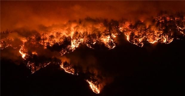 2022년 삼척 산불