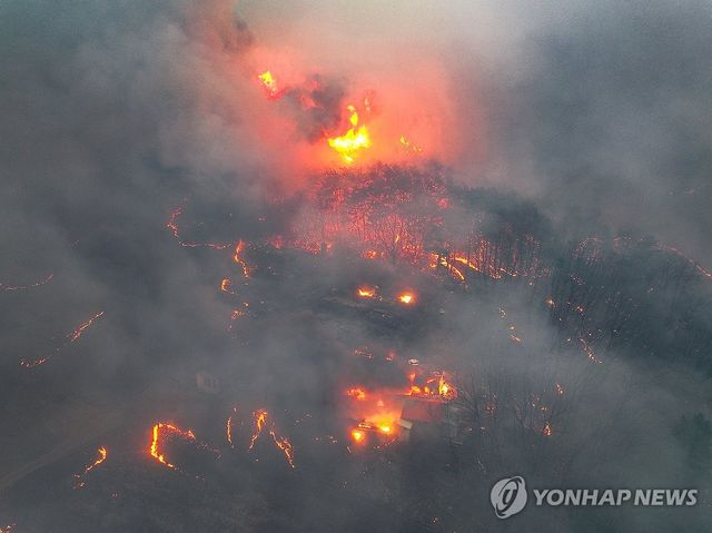 산불에 초토화된 민가