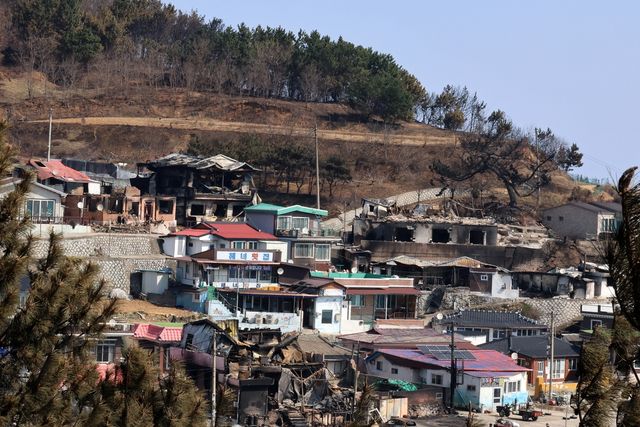 산불에 피해를 본 영덕군 영덕읍 노물리