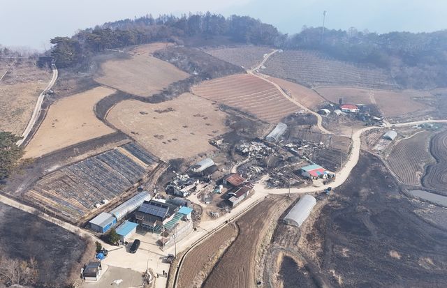 화마 덮친 영양군 석보면 포산리