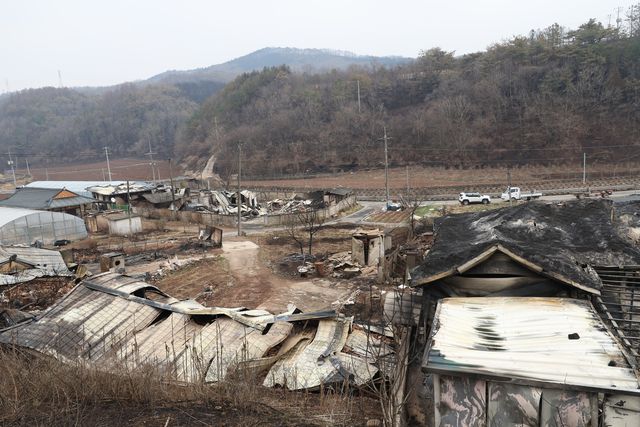 폭격 맞은 듯한 영양군 석보면 답곡2리