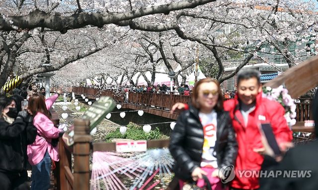 이색 풍경…벚꽃과 겨울 외투