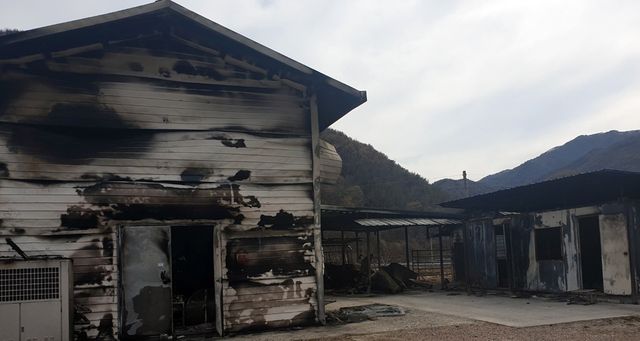 검게 타버린 중태마을 집