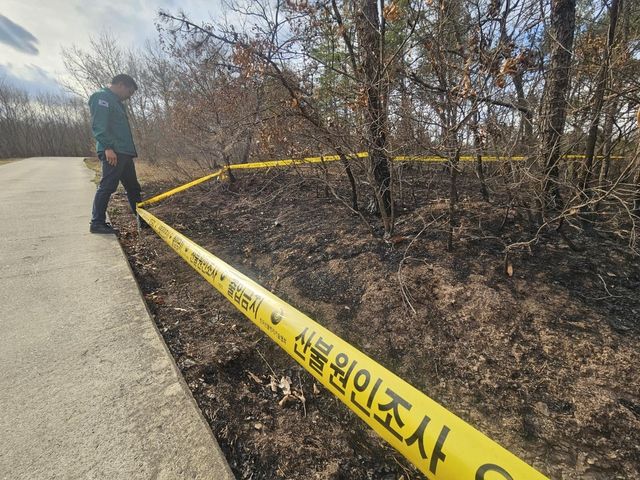 산불 현장 확인하는 의성군 공무원