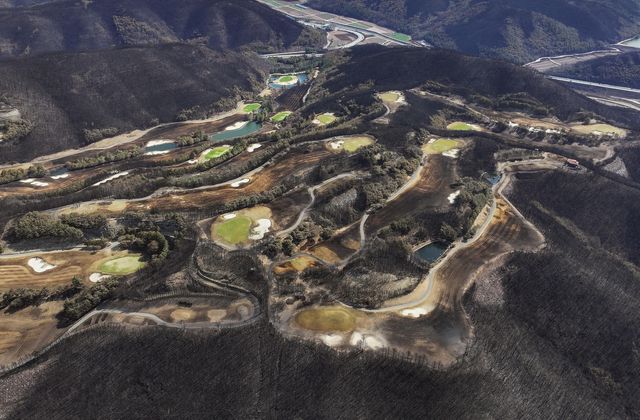 산불에 검게 그을린 골프장