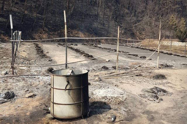 산불에 타버린 벌통 흔적