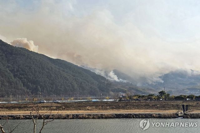 산청 산불 현장