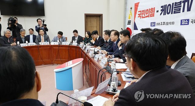 케이블TV 업계 간담회에서 발언하는 권영세 비대위원장