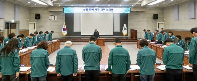 산불 피해 복구 대책 보고회