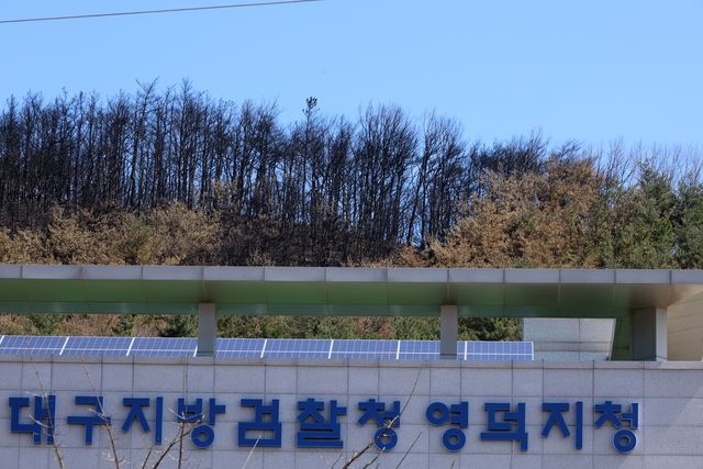 대구지검 영덕지청 인근까지 번진 산불