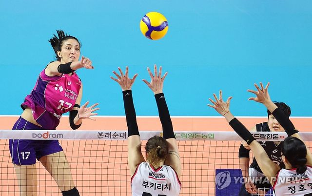 공격하는 투트쿠