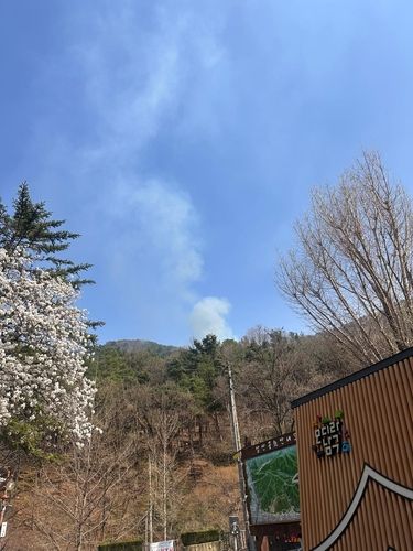 대구 앞산 산불