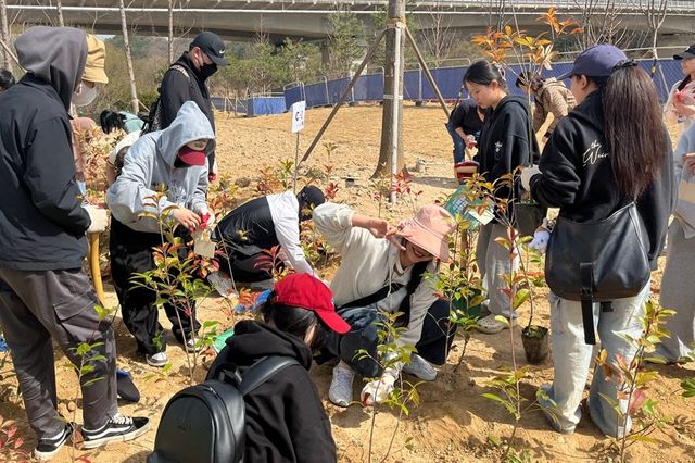 나무 심는 목원대 유학생들