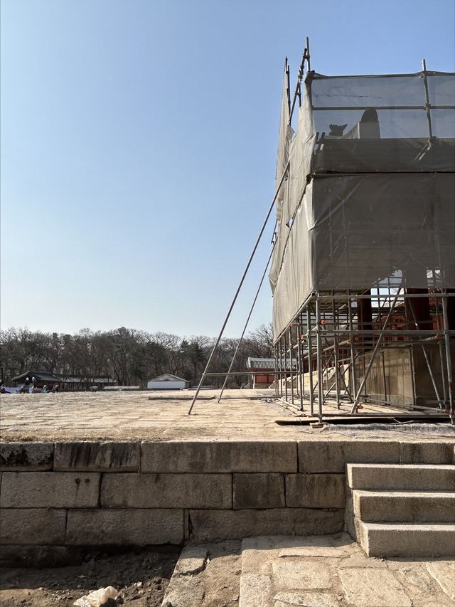 종묘 정전 보수 공사 현장 모습 