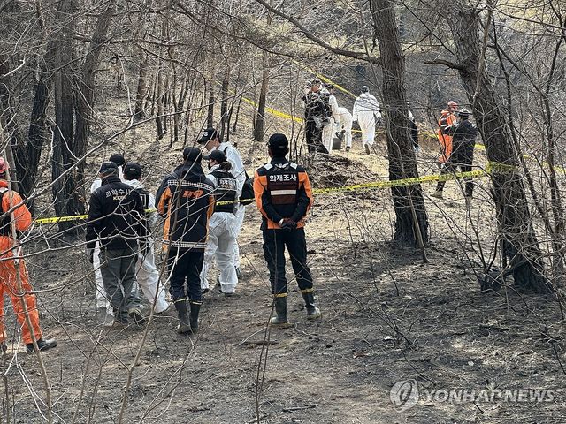 경북산불 최초 발화지서 소방·경찰 합동감식