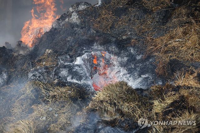 [연합뉴스 자료사진]