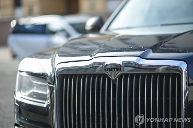 러시아 아우르스 