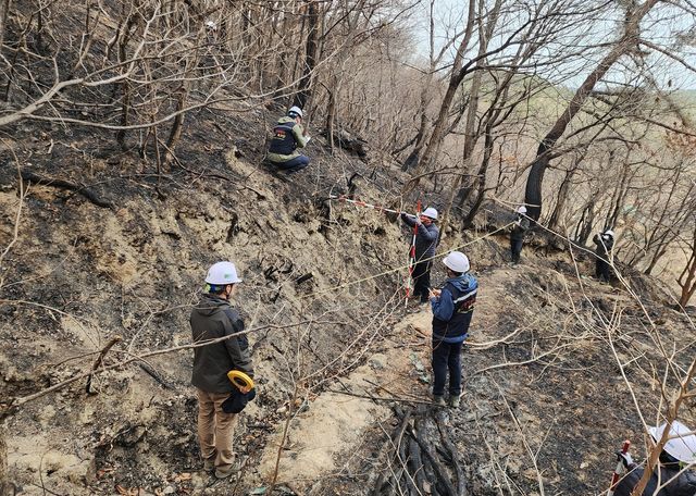 울산 울주군 대형 산불 피해지에 파견된 긴급진단팀