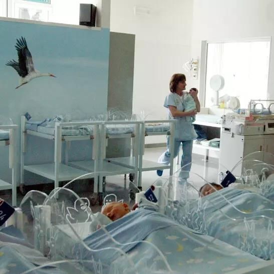 신생아실 아기들