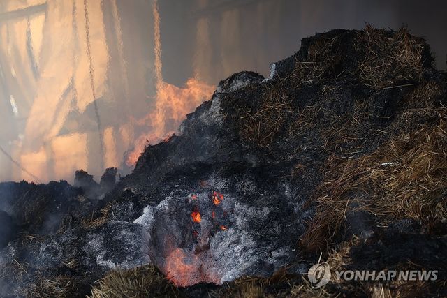 '여전히 남은 불씨'