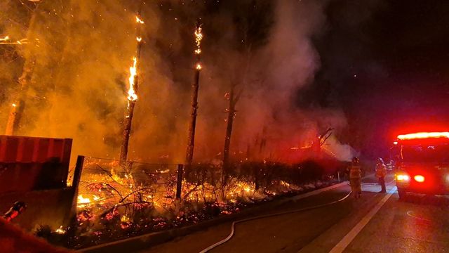 논산-천안고속도로변 화재