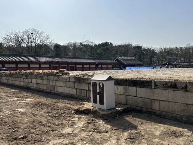 마무리 공사 중인 종묘 정전