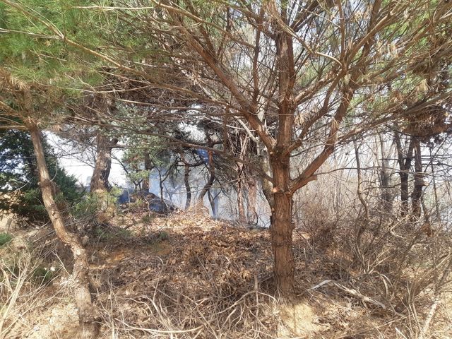 파주 광탄면 야산서 불