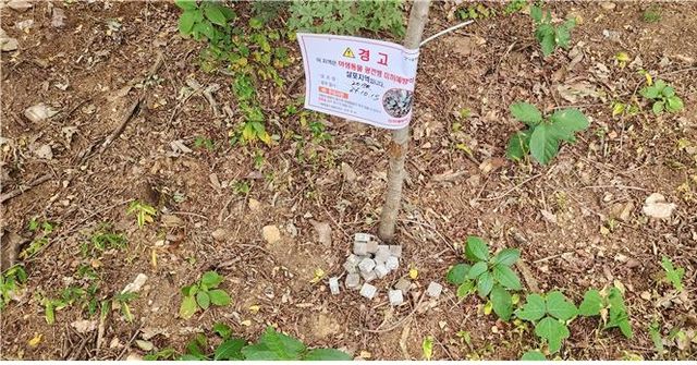 광견병 미끼 예방약