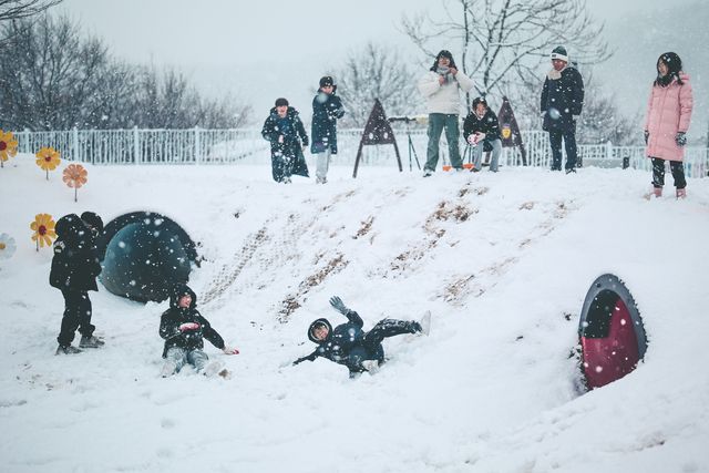강원 농어촌유학