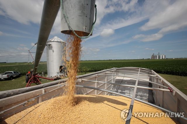 미국 일리노이주의 대두 농장 모습