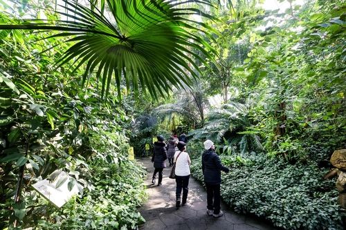 열대관 [사진/임헌정 기자]