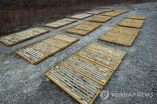 시추된 양양 철광 암석