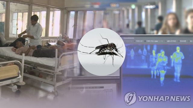 뎅기열 매개 모기(CG)