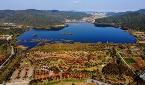 내장산 단풍생태공원. [국립공원공단 제공. 재판매 및 DB 금지]