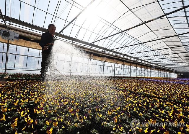 도심 화단 단장할 봄꽃