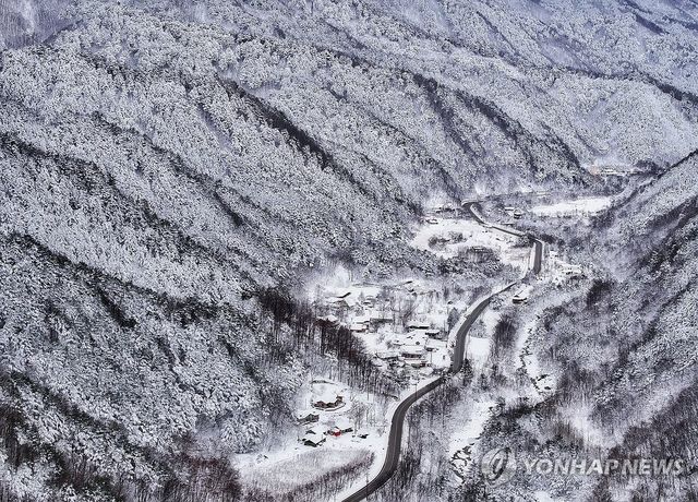 폭설이 선물한 풍경