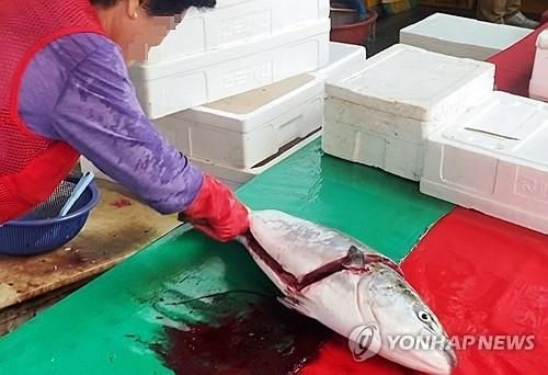 동해안 수산물 방사능 검사용 시료 채취