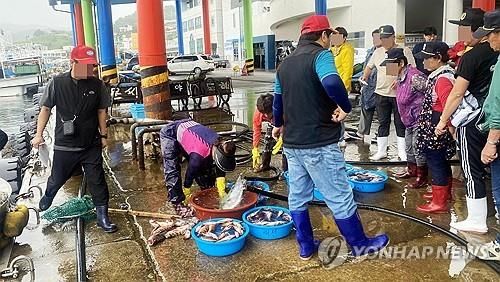 일본 오염수 방류, 동해안 수산물 방사능 매일 검사