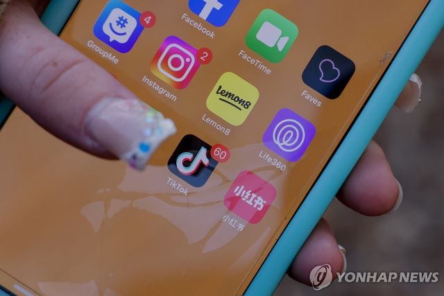 페이스북, 인스타그램, 틱톡 등 소셜미디어 앱이 설치된 스마트폰 화면