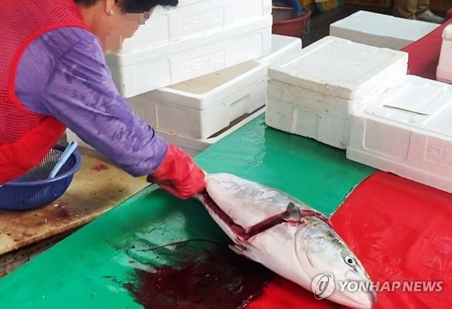 동해안 수산물 방사능 검사용 시료 채취