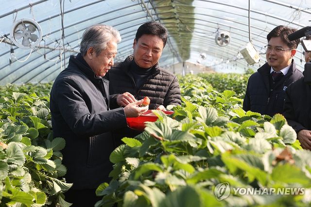 '농협 보급형 스마트팜' 방문한 강호동 회장