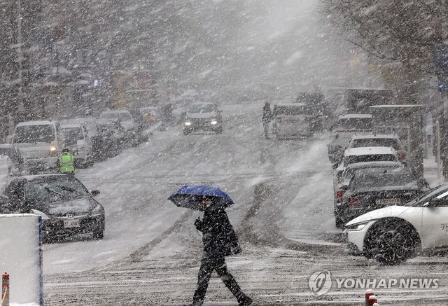 쏟아지는 함박눈