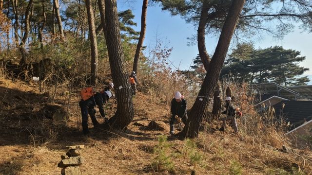 방제작업 펼치는 모습