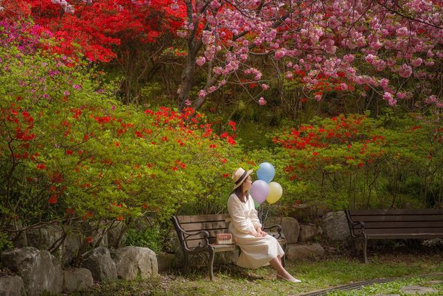 전주 완산 꽃동산