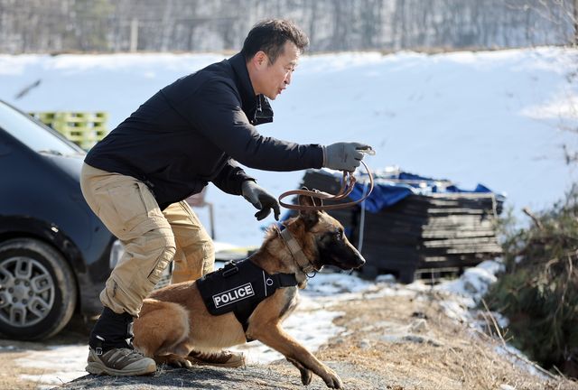 훈련하는 조헌오 핸들러와 '테오'