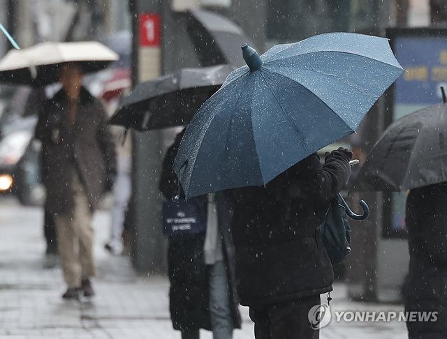 봄비인지 겨울비인지